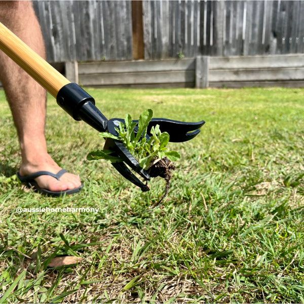 When is The Best Time to Weed in Australia?