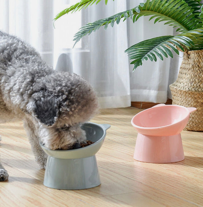 Ergonomic Pet Bowl (Cats + Small Dogs)